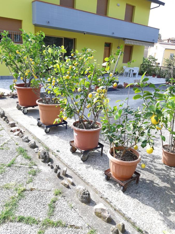 Vila Casa Gli Ulivi Montepulciano Stazione Exteriér fotografie