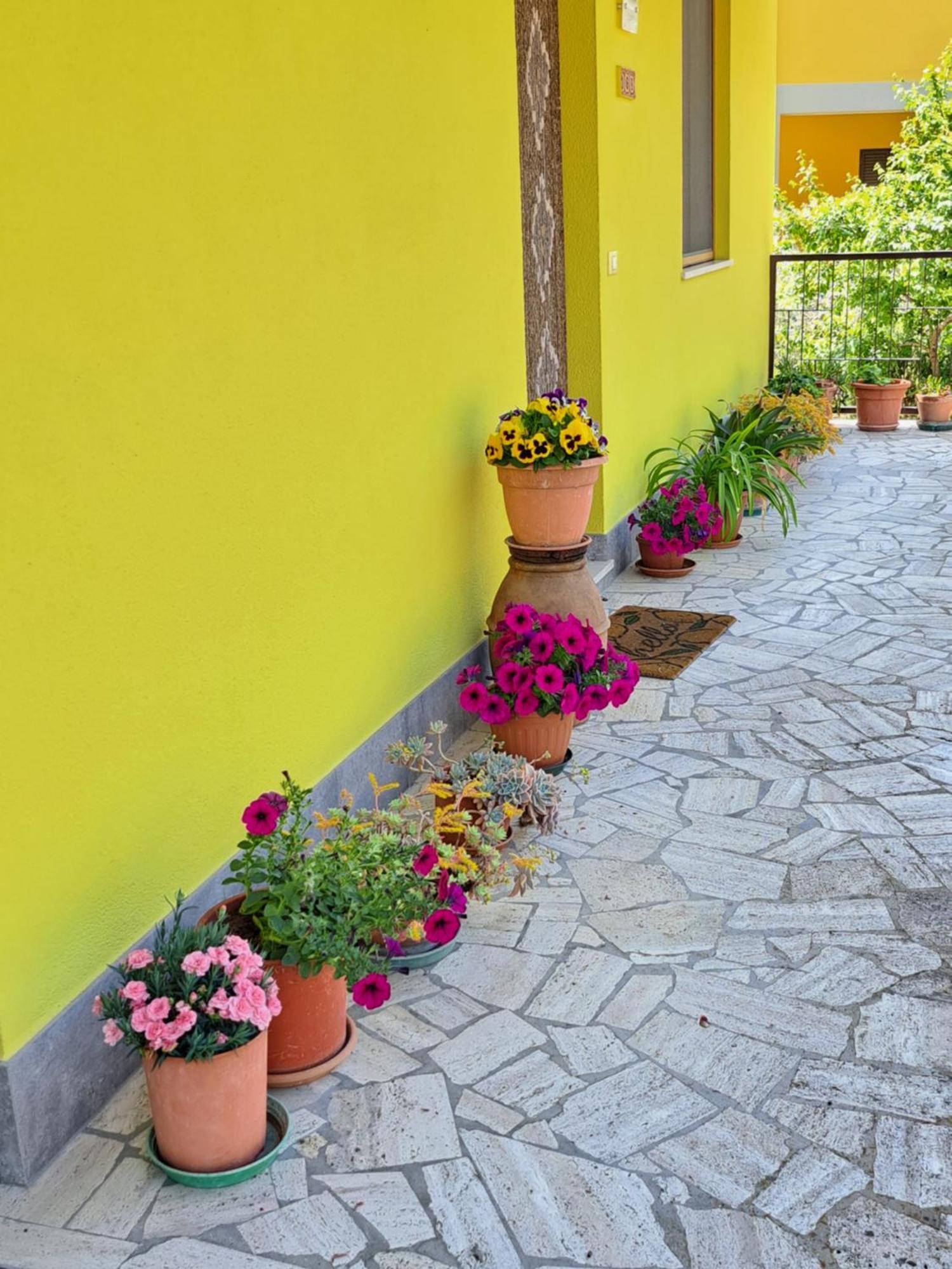 Vila Casa Gli Ulivi Montepulciano Stazione Exteriér fotografie