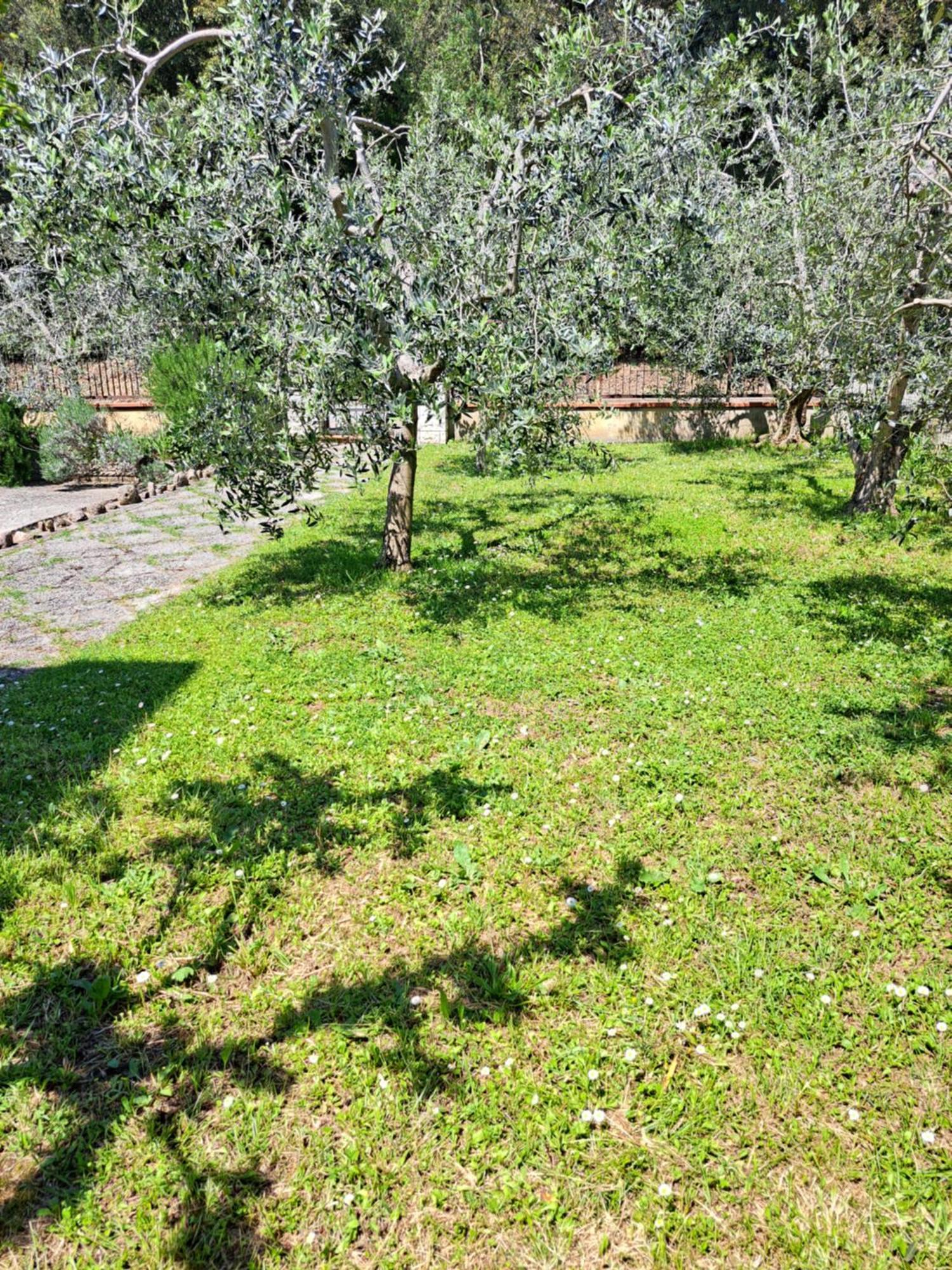 Vila Casa Gli Ulivi Montepulciano Stazione Exteriér fotografie
