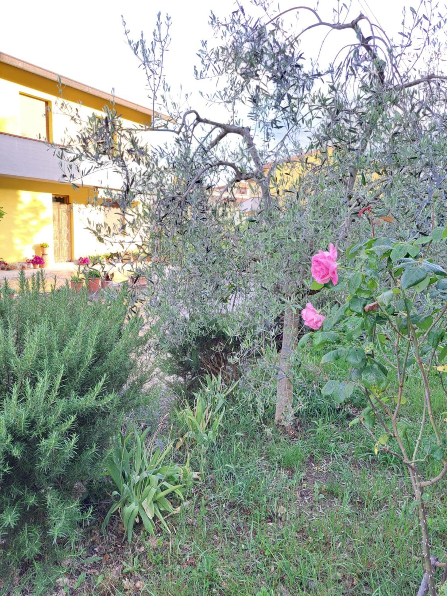 Vila Casa Gli Ulivi Montepulciano Stazione Exteriér fotografie