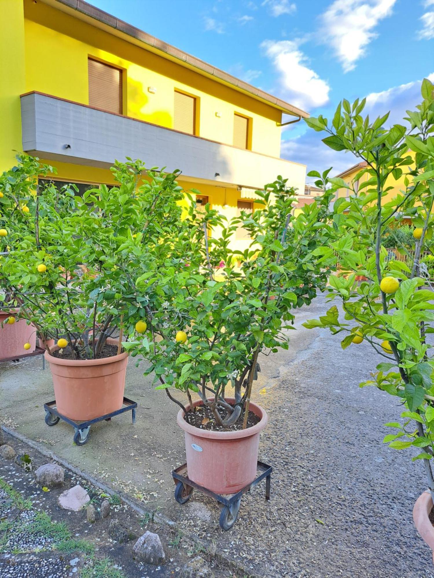 Vila Casa Gli Ulivi Montepulciano Stazione Exteriér fotografie